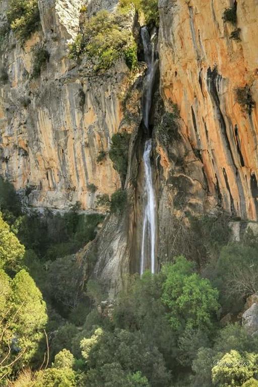 Cabanas De Madera El Rinconcillo Arroyo Frio Kültér fotó
